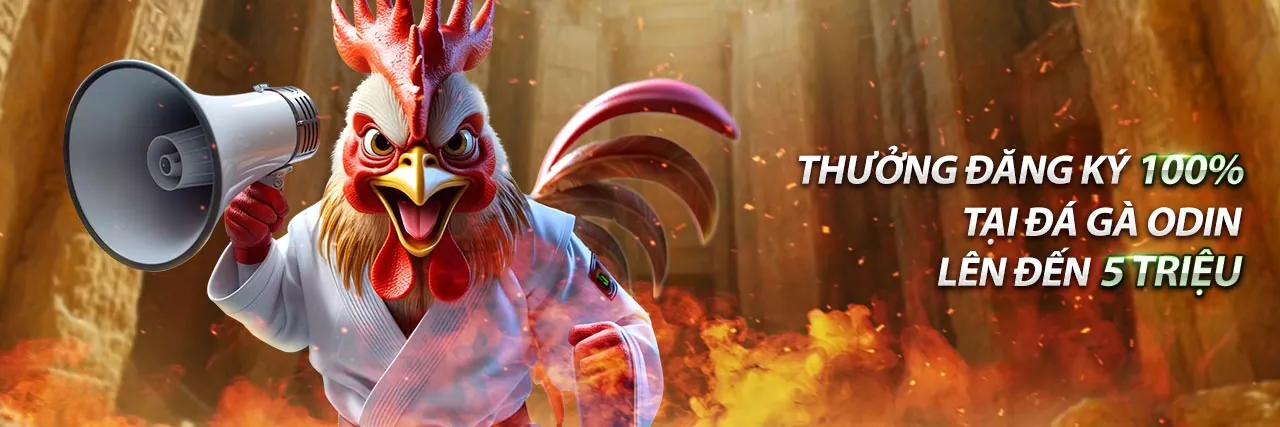 Khuyến Mãi Hấp Dẫn 77king88